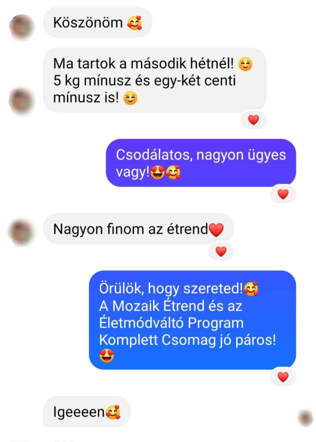 5 kg fogyás 2 hét alatt mozaik étrend és életmódváltó program komplett csomag