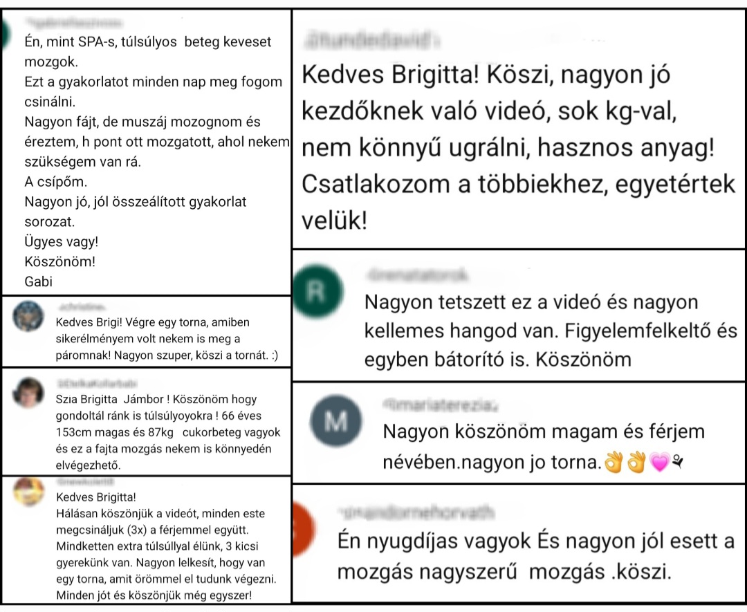 teljesen kezdő túlsúlyos edzésprogram visszajelzés